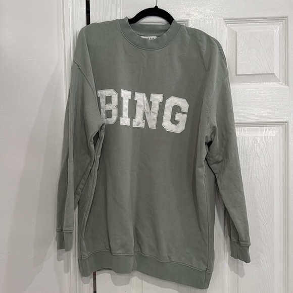Anine Bing Tyler Satin BING Oversized Sweatshirt Sage Green - Picture 5 of 5